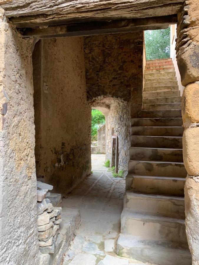 Cuccaro Vetere Casa N'Dondaヴィラ エクステリア 写真